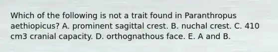 Which of the following is not a trait found in Paranthropus aethiopicus? A. prominent sagittal crest. B. nuchal crest. C. 410 cm3 cranial capacity. D. orthognathous face. E. A and B.