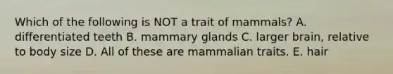 Which of the following is NOT a trait of mammals? A. differentiated teeth B. mammary glands C. larger brain, relative to body size D. All of these are mammalian traits. E. hair