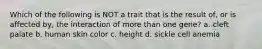 Which of the following is NOT a trait that is the result of, or is affected by, the interaction of more than one gene? a. cleft palate b. human skin color c. height d. sickle cell anemia