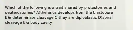 Which of the following is a trait shared by protostomes and deuterostomes? A)the anus develops from the blastopore B)indeterminate cleavage C)they are diploblastic D)spiral cleavage E)a body cavity