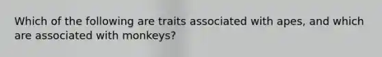 Which of the following are traits associated with apes, and which are associated with monkeys?