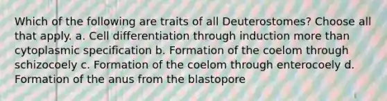 Which of the following are traits of all Deuterostomes? Choose all that apply. a. Cell differentiation through induction more than cytoplasmic specification b. Formation of the coelom through schizocoely c. Formation of the coelom through enterocoely d. Formation of the anus from the blastopore