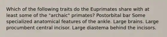 Which of the following traits do the Euprimates share with at least some of the "archaic" primates? Postorbital bar Some specialized anatomical features of the ankle. Large brains. Large procumbent central incisor. Large diastema behind the incisors.