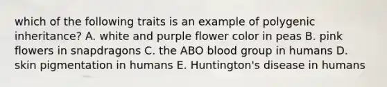 which of the following traits is an example of polygenic inheritance? A. white and purple flower color in peas B. pink flowers in snapdragons C. the ABO blood group in humans D. skin pigmentation in humans E. Huntington's disease in humans