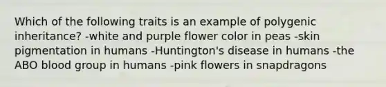 Which of the following traits is an example of polygenic inheritance? -white and purple flower color in peas -skin pigmentation in humans -Huntington's disease in humans -the ABO blood group in humans -pink flowers in snapdragons