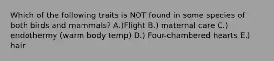 Which of the following traits is NOT found in some species of both birds and mammals? A.)Flight B.) maternal care C.) endothermy (warm body temp) D.) Four-chambered hearts E.) hair