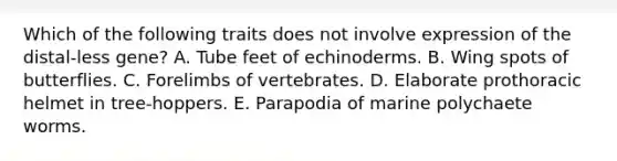 Which of the following traits does not involve expression of the distal-less gene? A. Tube feet of echinoderms. B. Wing spots of butterflies. C. Forelimbs of vertebrates. D. Elaborate prothoracic helmet in tree-hoppers. E. Parapodia of marine polychaete worms.