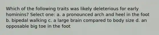 Which of the following traits was likely deleterious for early hominins? Select one: a. a pronounced arch and heel in the foot b. bipedal walking c. a large brain compared to body size d. an opposable big toe in the foot