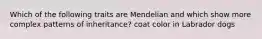 Which of the following traits are Mendelian and which show more complex patterns of inheritance? coat color in Labrador dogs