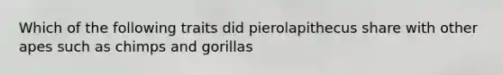 Which of the following traits did pierolapithecus share with other apes such as chimps and gorillas