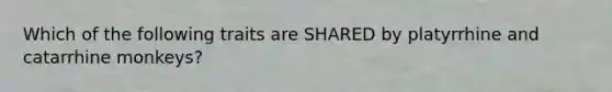 Which of the following traits are SHARED by platyrrhine and catarrhine monkeys?