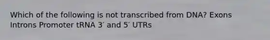 Which of the following is not transcribed from DNA? Exons Introns Promoter tRNA 3′ and 5′ UTRs