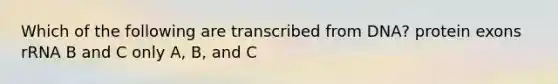 Which of the following are transcribed from DNA? protein exons rRNA B and C only A, B, and C