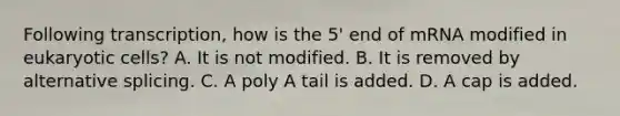 Following transcription, how is the 5' end of mRNA modified in eukaryotic cells? A. It is not modified. B. It is removed by alternative splicing. C. A poly A tail is added. D. A cap is added.