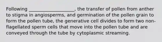 Following ____________________, the transfer of pollen from anther to stigma in angiosperms, and germination of the pollen grain to form the pollen tube, the generative cell divides to form two non-flagellated sperm cells that move into the pollen tube and are conveyed through the tube by cytoplasmic streaming.