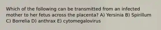 Which of the following can be transmitted from an infected mother to her fetus across the placenta? A) Yersinia B) Spirillum C) Borrelia D) anthrax E) cytomegalovirus