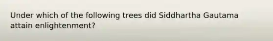 Under which of the following trees did Siddhartha Gautama attain enlightenment?