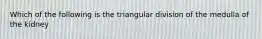 Which of the following is the triangular division of the medulla of the kidney