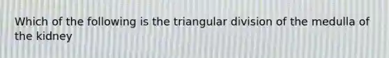 Which of the following is the triangular division of the medulla of the kidney