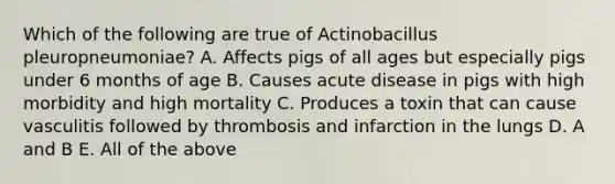 Which of the following are true of Actinobacillus pleuropneumoniae? A. Affects pigs of all ages but especially pigs under 6 months of age B. Causes acute disease in pigs with high morbidity and high mortality C. Produces a toxin that can cause vasculitis followed by thrombosis and infarction in the lungs D. A and B E. All of the above