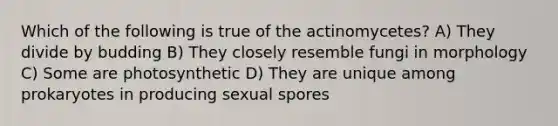 Which of the following is true of the actinomycetes? A) They divide by budding B) They closely resemble fungi in morphology C) Some are photosynthetic D) They are unique among prokaryotes in producing sexual spores