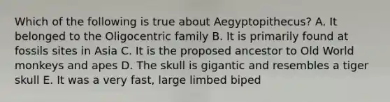 Which of the following is true about Aegyptopithecus? A. It belonged to the Oligocentric family B. It is primarily found at fossils sites in Asia C. It is the proposed ancestor to Old World monkeys and apes D. The skull is gigantic and resembles a tiger skull E. It was a very fast, large limbed biped