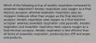 Which of the following is true of aerobic respiration compared to anaerobic respiration? Aerobic respiration uses oxygen as a final electron acceptor, whereas anaerobic respiration uses an inorganic molecule other than oxygen as the final electron acceptor. Aerobic respiration uses oxygen as a final electron acceptor, whereas anaerobic respiration uses pyruvate. Aerobic respiration and anaerobic respiration both require oxygen as a final electron acceptor. Aerobic respiration is less efficient than all forms of anaerobic respiration, producing less ATP and larger end-products.