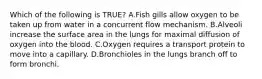 Which of the following is TRUE? A.Fish gills allow oxygen to be taken up from water in a concurrent flow mechanism. B.Alveoli increase the surface area in the lungs for maximal diffusion of oxygen into the blood. C.Oxygen requires a transport protein to move into a capillary. D.Bronchioles in the lungs branch off to form bronchi.