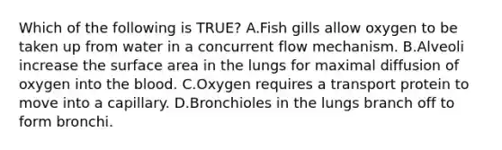 Which of the following is TRUE? A.Fish gills allow oxygen to be taken up from water in a concurrent flow mechanism. B.Alveoli increase the surface area in the lungs for maximal diffusion of oxygen into the blood. C.Oxygen requires a transport protein to move into a capillary. D.Bronchioles in the lungs branch off to form bronchi.