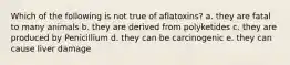Which of the following is not true of aflatoxins? a. they are fatal to many animals b. they are derived from polyketides c. they are produced by Penicillium d. they can be carcinogenic e. they can cause liver damage