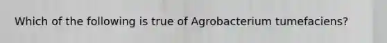 Which of the following is true of Agrobacterium tumefaciens?