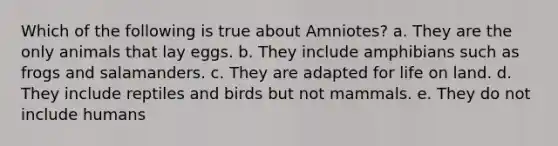 Which of the following is true about Amniotes? a. They are the only animals that lay eggs. b. They include amphibians such as frogs and salamanders. c. They are adapted for <a href='https://www.questionai.com/knowledge/k9VzeMAjx8-life-on-land' class='anchor-knowledge'>life on land</a>. d. They include reptiles and birds but not mammals. e. They do not include humans