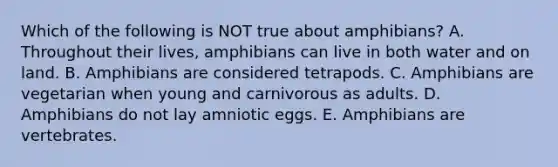 Which of the following is NOT true about amphibians? A. Throughout their lives, amphibians can live in both water and on land. B. Amphibians are considered tetrapods. C. Amphibians are vegetarian when young and carnivorous as adults. D. Amphibians do not lay amniotic eggs. E. Amphibians are vertebrates.