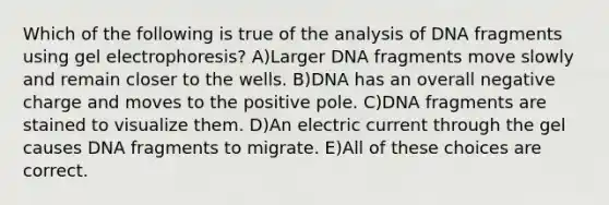 Which of the following is true of the analysis of DNA fragments using gel electrophoresis? A)Larger DNA fragments move slowly and remain closer to the wells. B)DNA has an overall negative charge and moves to the positive pole. C)DNA fragments are stained to visualize them. D)An electric current through the gel causes DNA fragments to migrate. E)All of these choices are correct.