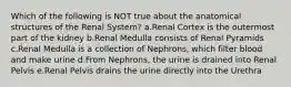 Which of the following is NOT true about the anatomical structures of the Renal System? a.Renal Cortex is the outermost part of the kidney b.Renal Medulla consists of Renal Pyramids c.Renal Medulla is a collection of Nephrons, which filter blood and make urine d.From Nephrons, the urine is drained into Renal Pelvis e.Renal Pelvis drains the urine directly into the Urethra