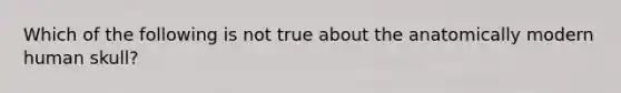 Which of the following is not true about the anatomically modern human skull?