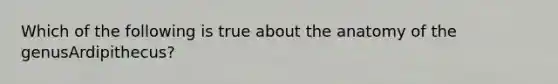 Which of the following is true about the anatomy of the genusArdipithecus?