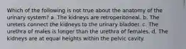 Which of the following is not true about the anatomy of the urinary system? a. The kidneys are retroperitoneal. b. The ureters connect the kidneys to the urinary bladder. c. The urethra of males is longer than the urethra of females. d. The kidneys are at equal heights within the pelvic cavity.