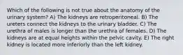 Which of the following is not true about the anatomy of the urinary system? A) The kidneys are retroperitoneal. B) The ureters connect the kidneys to the urinary bladder. C) The urethra of males is longer than the urethra of females. D) The kidneys are at equal heights within the pelvic cavity. E) The right kidney is located more inferiorly than the left kidney.