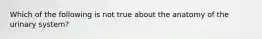 Which of the following is not true about the anatomy of the urinary system?