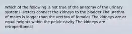 Which of the following is not true of the anatomy of the urinary system? Ureters connect the kidneys to the bladder The urethra of males is longer than the urethra of females The kidneys are at equal heights within the pelvic cavity The kidneys are retroperitoneal