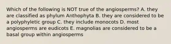 Which of the following is NOT true of the angiosperms? A. they are classified as phylum Anthophyta B. they are considered to be a polyphyletic group C. they include monocots D. most angiosperms are eudicots E. magnolias are considered to be a basal group within angiosperms