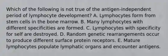 Which of the following is not true of the antigen-independent period of lymphocyte development? A. Lymphocytes form from stem cells in the bone marrow. B. Many lymphocytes with different specificities are formed. C. Lymphocytes with specificity for self are destroyed. D. Random genetic rearrangements occur to produce different surface protein receptors. E. Mature lymphocytes populate lymphatic organs and encounter antigens.