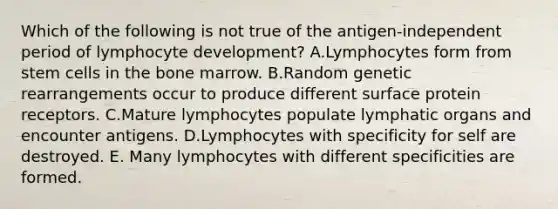 Which of the following is not true of the antigen-independent period of lymphocyte development? A.Lymphocytes form from stem cells in the bone marrow. B.Random genetic rearrangements occur to produce different surface protein receptors. C.Mature lymphocytes populate lymphatic organs and encounter antigens. D.Lymphocytes with specificity for self are destroyed. E. Many lymphocytes with different specificities are formed.