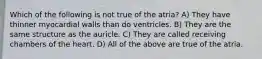 Which of the following is not true of the atria? A) They have thinner myocardial walls than do ventricles. B) They are the same structure as the auricle. C) They are called receiving chambers of the heart. D) All of the above are true of the atria.