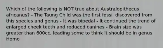 Which of the following is NOT true about Australopithecus africanus? - The Taung Child was the first fossil discovered from this species and genus - It was bipedal - It continued the trend of enlarged cheek teeth and reduced canines - Brain size was greater than 600cc, leading some to think it should be in genus Homo