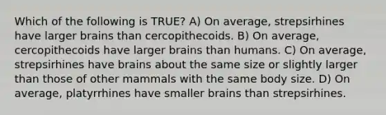 Which of the following is TRUE? A) On average, strepsirhines have larger brains than cercopithecoids. B) On average, cercopithecoids have larger brains than humans. C) On average, strepsirhines have brains about the same size or slightly larger than those of other mammals with the same body size. D) On average, platyrrhines have smaller brains than strepsirhines.