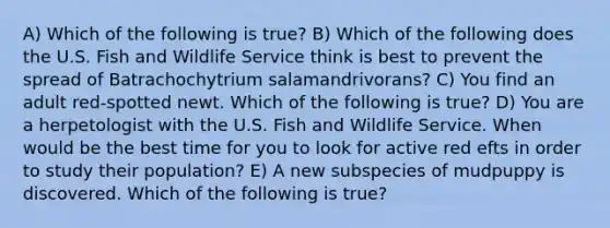 A) Which of the following is true? B) Which of the following does the U.S. Fish and Wildlife Service think is best to prevent the spread of Batrachochytrium salamandrivorans? C) You find an adult red-spotted newt. Which of the following is true? D) You are a herpetologist with the U.S. Fish and Wildlife Service. When would be the best time for you to look for active red efts in order to study their population? E) A new subspecies of mudpuppy is discovered. Which of the following is true?