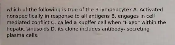 which of the following is true of the B lymphocyte? A. Activated nonspecifically in response to all antigens B. engages in cell mediated conflict C. called a Kupffer cell when "Fixed" within the hepatic sinusoids D. its clone includes antibody- secreting plasma cells.