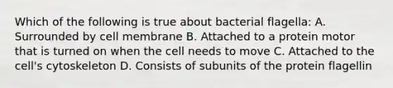 Which of the following is true about bacterial flagella: A. Surrounded by cell membrane B. Attached to a protein motor that is turned on when the cell needs to move C. Attached to the cell's cytoskeleton D. Consists of subunits of the protein flagellin